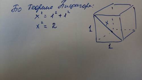 Дан куб с ребром 1 см. вычислить квадрат диагонали грани куба.