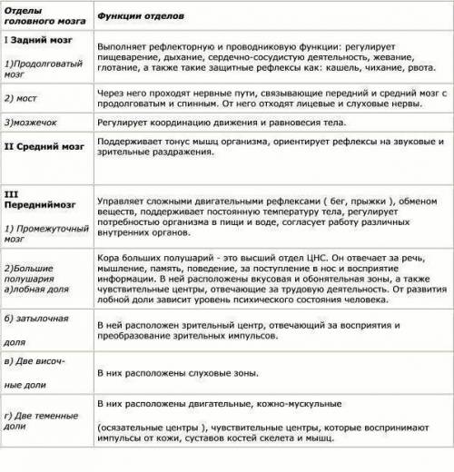 Цнс. строение и функции головного мозга (кратко) заранее •~•