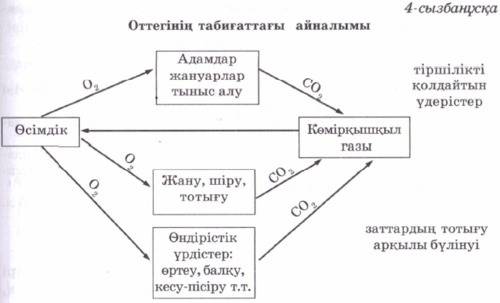 Оттегі мен азоттың тіршілік үшін қандай маңызы бар