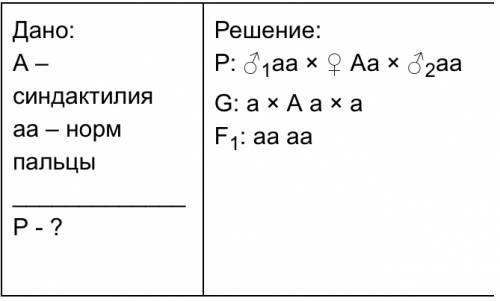 Синдактилия (сращение пальцев) обусловлена доминантным геном, нарушающим разделение пальцев в ходе э