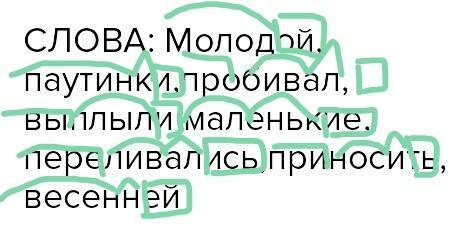 Спишите,выделенные слова разберите по составу слова: молодой,паутинки,пробивал,выплыли маленькие,пер