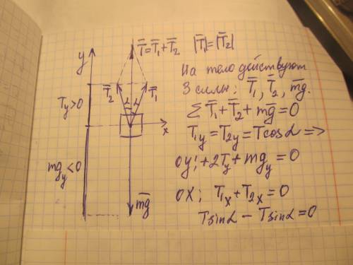 С! груз массой 17,4 кг подвешен на двух нитях, каждая из которых образует угол 30°, с вертикалью. оп