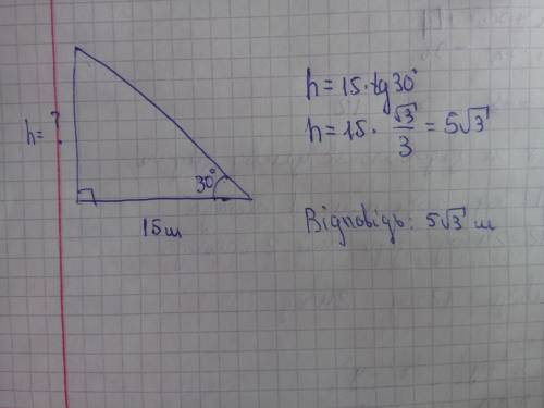 Довжина тіні дерева = 15м .напрямок променів сонця утворує 30 з поверхнею землі..яка висота дерев =?