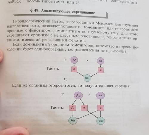 Определите вероятность проявления доминантного фенотипа по обоим признакам при анализирующем скрещев