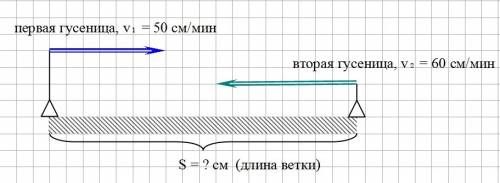 27 решите двумя начертив предварительно схему. две гусеницы ползли по ветке навстречу друг другу, од