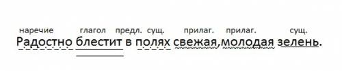 Нужно сделать синтаксический разбор. радостно блестит в полях свежая,молодая зелень.