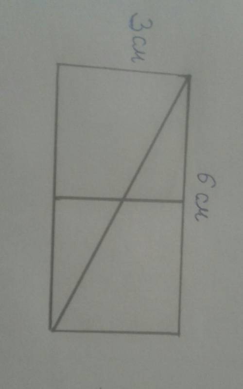 Начерти прямоугольник со сторонами 3 см и 6см проведи две примые линии так чтобы они разделии прямоу