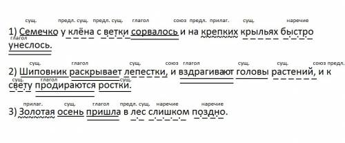 Сделайте синтаксический разбор предложений: 1) семечко у клёна с ветки сорвалось и на крепких крылья