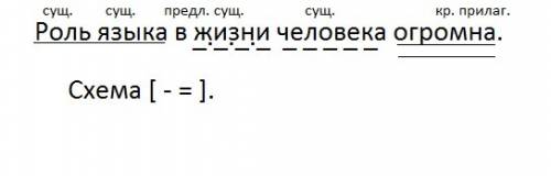 Сделайте синтаксический разбор предложения: роль языка в жизни человека огромна. какой частью речи в