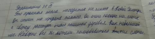 Слон который всегда живет на пляже в новой зеландии. напишите небольшую заметку . расскажите о месте