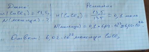 Сколько молекул содержится в сucl2 массой 13,5 г?