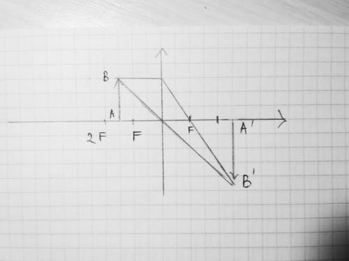 Постройте изображение, даваемое собирающей линзой, если предмет находится между фокусом и двойным фо