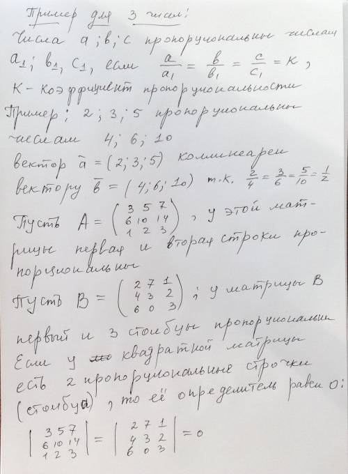 Объясните, , что такое пропорциональные числа и что такое пропорциональные строки (столбцы)?