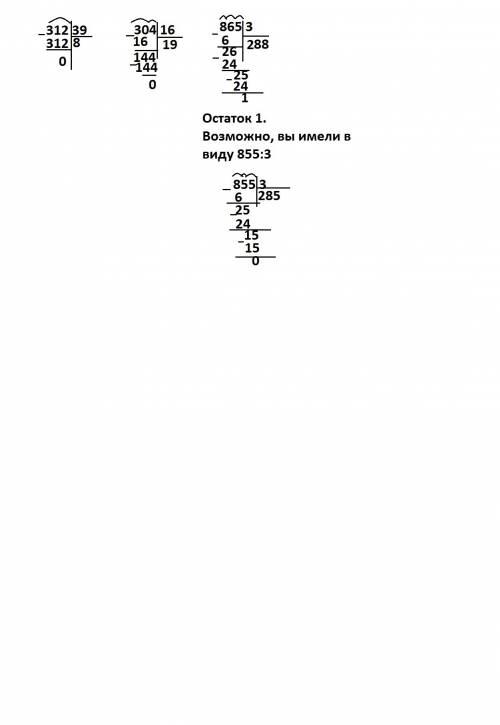 Выполни деление в столбик 312 / 39, 304 / 16, 865 / 3
