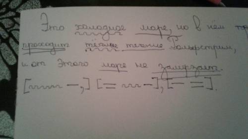 Выделите грамматические основы и составьте схему предложения : это холодное море,но в нём проходит т