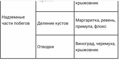 Примеры для бесполых размножения, а именно для спрообразования, почкования, фрагментации, вегетативн