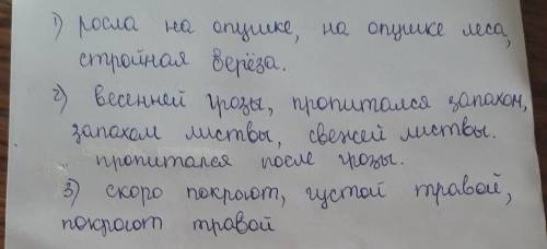 1.выписать словосочетания. на опушке леса росла стройная береза. после весенний грозы воздух пропита