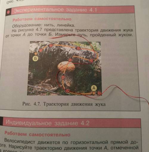 На рисунке 4.7 представлена траектория движения жука от точки а до точки б.измерьте путь,пройденный