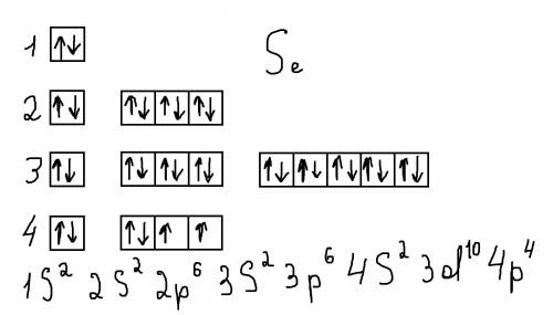 Нарисуйте квантовые ячейки для следующих элементов: галлий, азот, селен