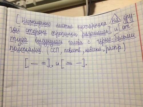 Синтаксический разбор и характеристика предложения. неожиданно листья кустарника на другой стороне т