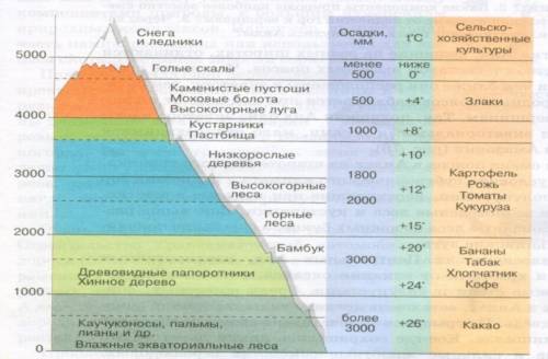 Напишите высотную поясность горы килиманджаро