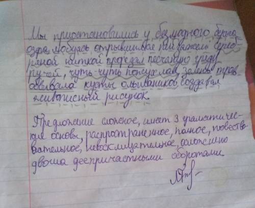 Синтаксический разбор нужно сегодня мы приостановились у безлюдного берега озера, любуясь открывшимс