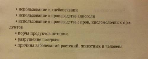 Роль грибов и бактерий в жизни человека сообщение.