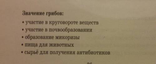 Роль грибов и бактерий в жизни человека сообщение.