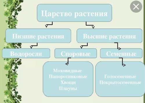 Выпиши царство животных, царство растений