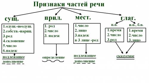 Какие грамматические признаки есть у всех частей речи