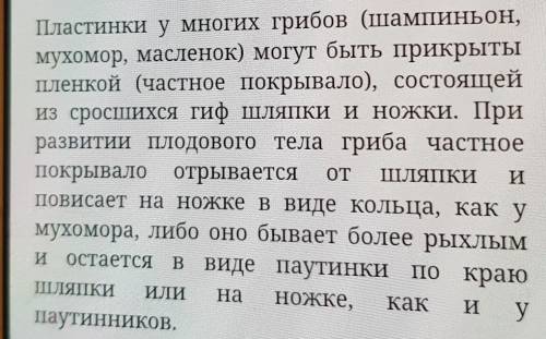 Как называется плёнка защищающая развивающиеся споры у масленка и шапиньона