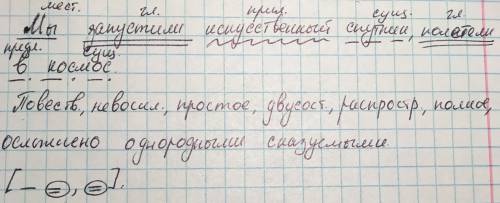 Синтаксический разбор предложения мы запустили искусственный спутник, полетели в космос