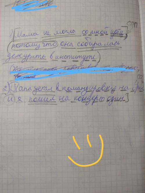 Добрый вечер. сделать синтаксический разбор предложений! 1. мама не могла со мной идти, потому что о