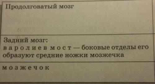 Структура,характеристика и роль （заднего,среднего и промежуточного мозга）