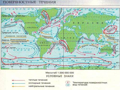 Какое из перечисленных океанический течений является тёплым? 1) западных ветров 2)куросио 3)бенгельс