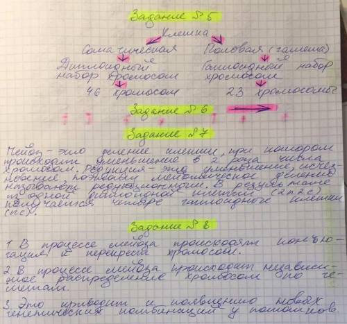 1. (10 ) каково биологическое значение размножения? 2. (10 ) чем отличаются половое и бесполое разм