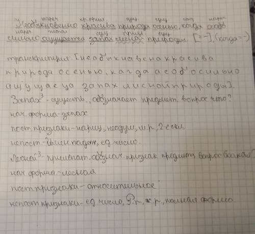 (не)обыкнове..о красива пр..рода ос..нью когда особо сильно ощуща..т..ся зап..х л..сной пр..роды. 1.