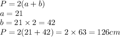 P= 2(a + b) \\ a = 21 \\ b = 21 \times 2 = 42 \\ P = 2(21 + 42) = 2 \times 63 = 126cm