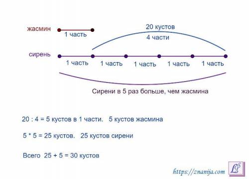 Впарке сажали кусты сирени и жасмина.кустов жасмина посадили в 5 раз меньше, чем кустов сирени. скол