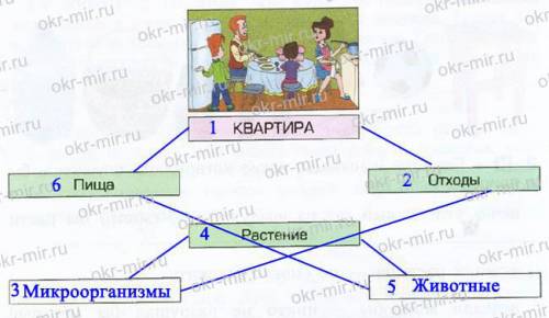 Какие организмы превращать отходы жизнедеятельности в пищу допиши в схему названия профессий живых о