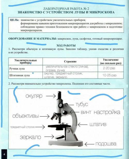 Лабораторная работа 2 по биологии 6 класс