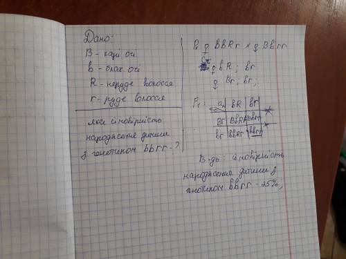 Відомо що ген карих очей в домінує над геном блакитних очей b. рудий колір волосся r рецесивний стос