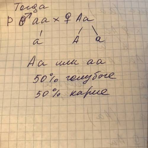 Ген карих глаз доминирует над геном голубых глаз .голубоглазый мужчина, родители которого имели кари