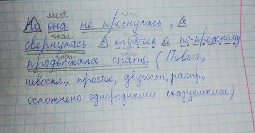 Синтаксический разбор : но она не проснулась, а свернулась в клубочек и по-прежнему продолжала спать