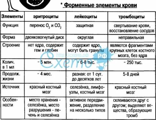 Сделать таблицу «форменные элементы крови» название, строение, функции