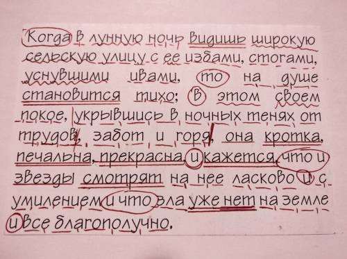 Когда в лунную ночь видишь широкую сельскую улицу с ее избами, стогами, уснувшими ивами, то на душе