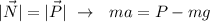 |\vec N| = |\vec P| \ \rightarrow \ \ ma = P - mg