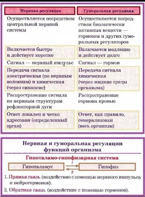 Коротко 1-2 предложения. зачем человеку две системы регуляции?