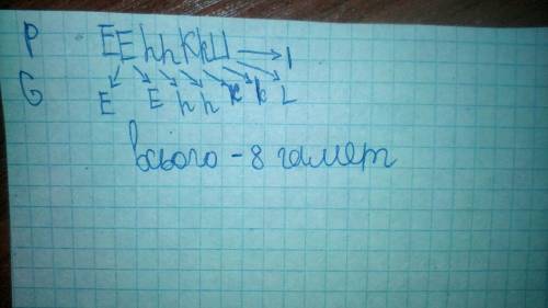 За генотипом eehhkkll визначити : a) скільки ознак організму визначає цей генотип б) яка кількість і