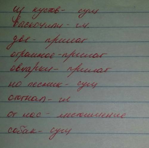 Над каждым словом напишите, какой частью речи оно является. из кустов выскочили две огромные овчарки